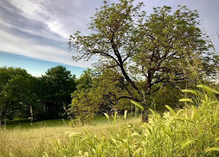 Сasa de vacaciones Chateau De